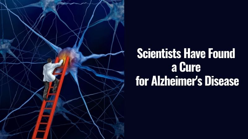 Scientists Have Found a Cure for Alzheimer's Disease